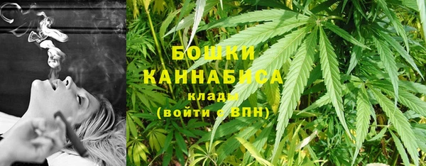 крисы Абдулино