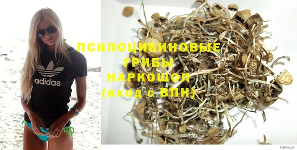 спайс Алексин